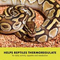 Zilla Heat Mat features no exposed wires to reduce wear in terrariums.