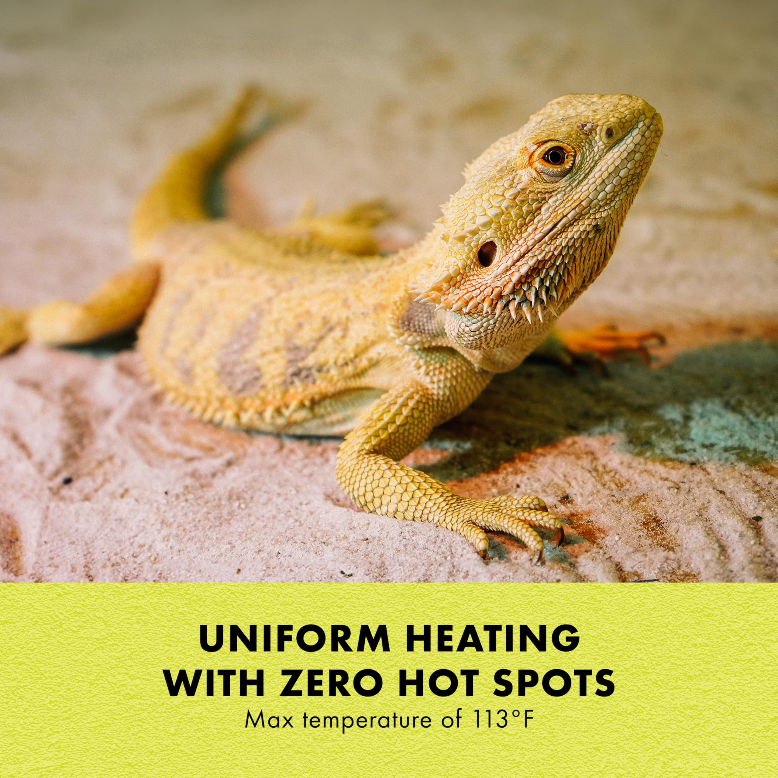 Zilla Heat Mat auto-regulates up to 113F for safe, steady warmth.