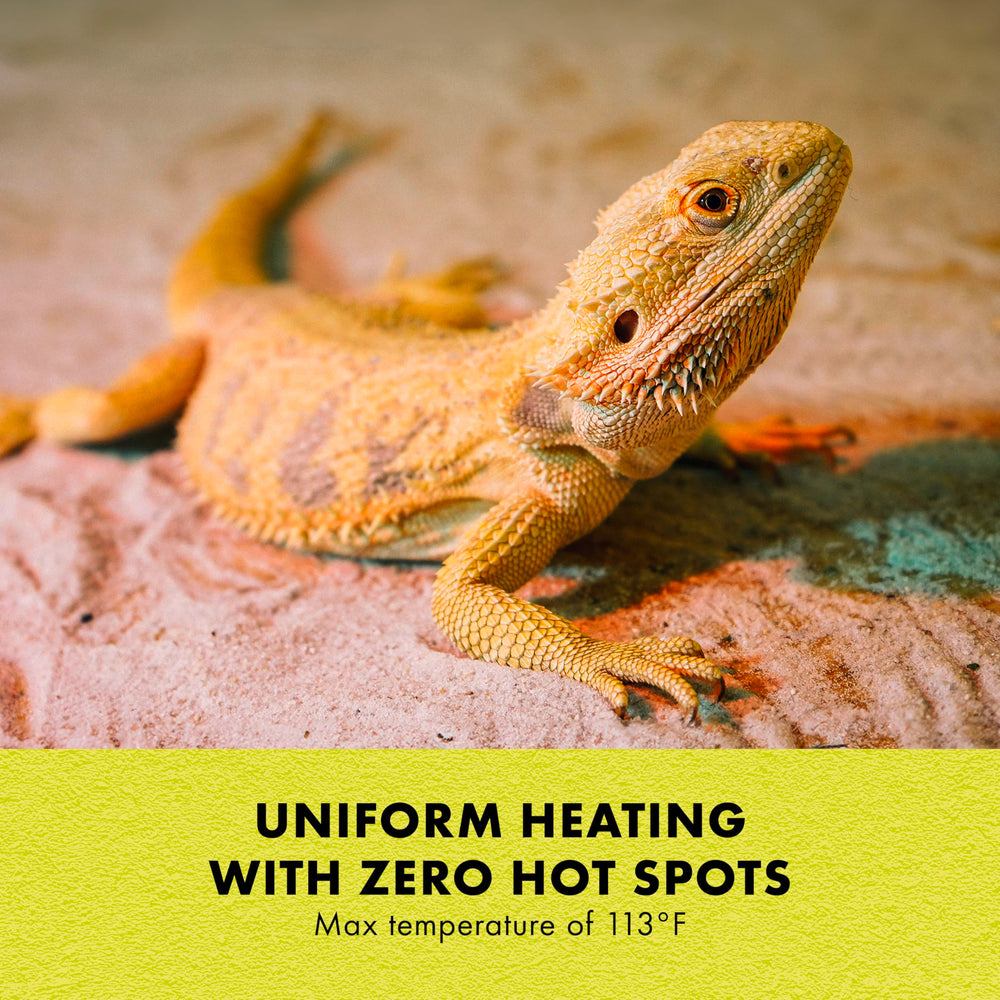 Zilla Heat Mat auto-regulates up to 113F for safe, steady warmth.