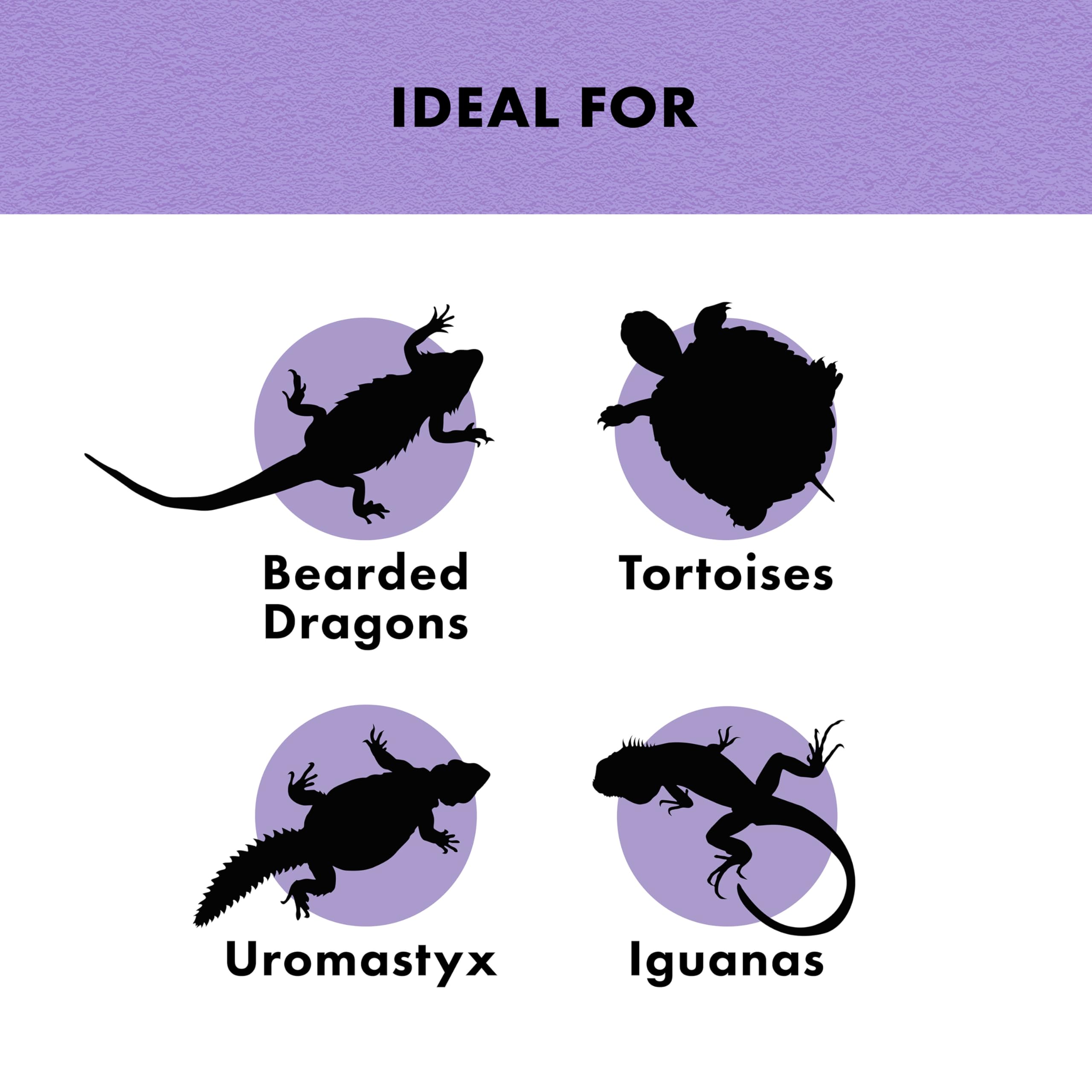 Bearded dragon diet option with Zilla Herbivore Medley displayed