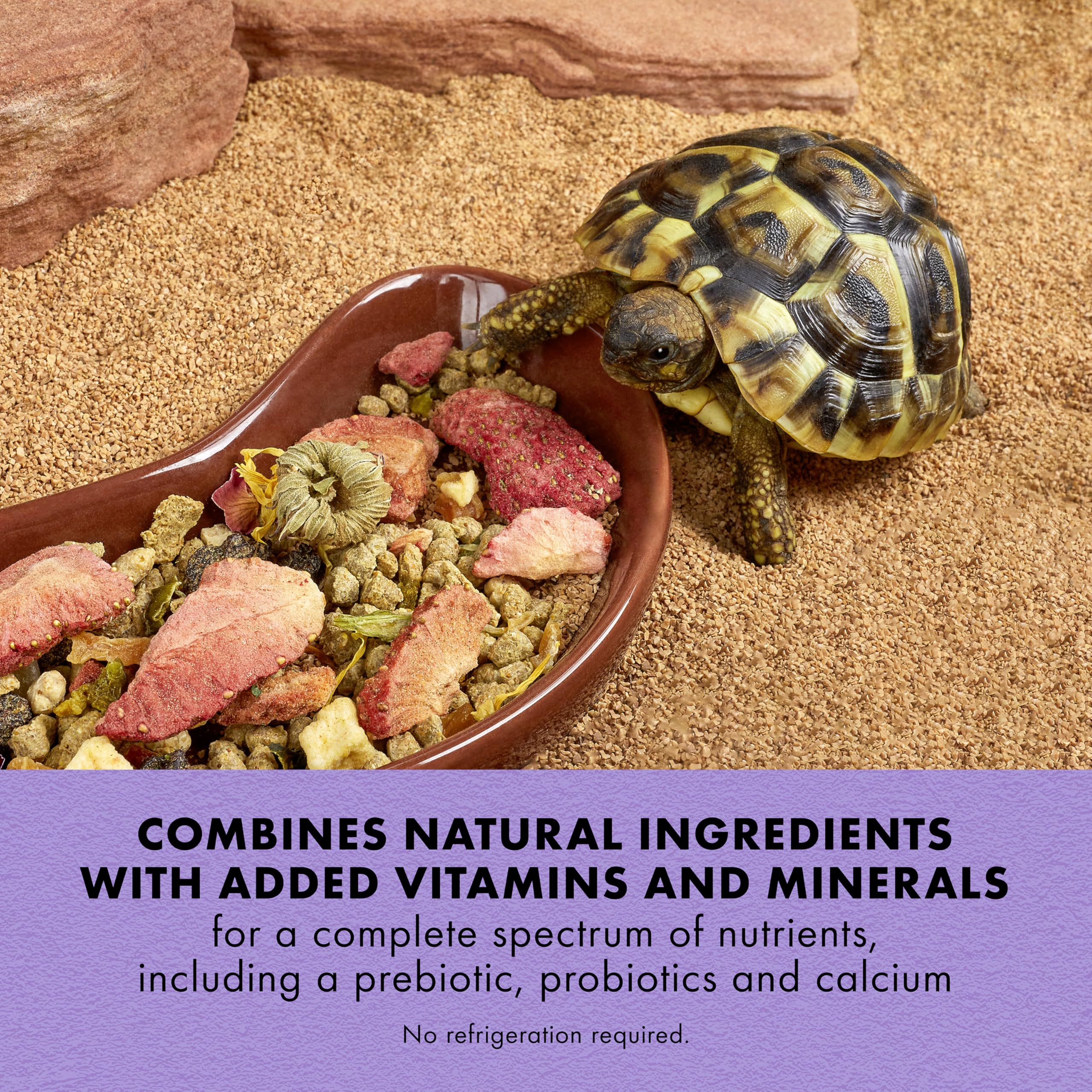 Ingredients closeup of Zilla Herbivore Medley featuring colorful produce for balanced meals