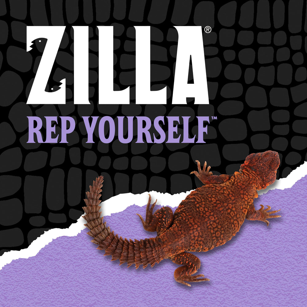 Uromastyx meal featuring Zilla Herbivore Medley natural ingredients