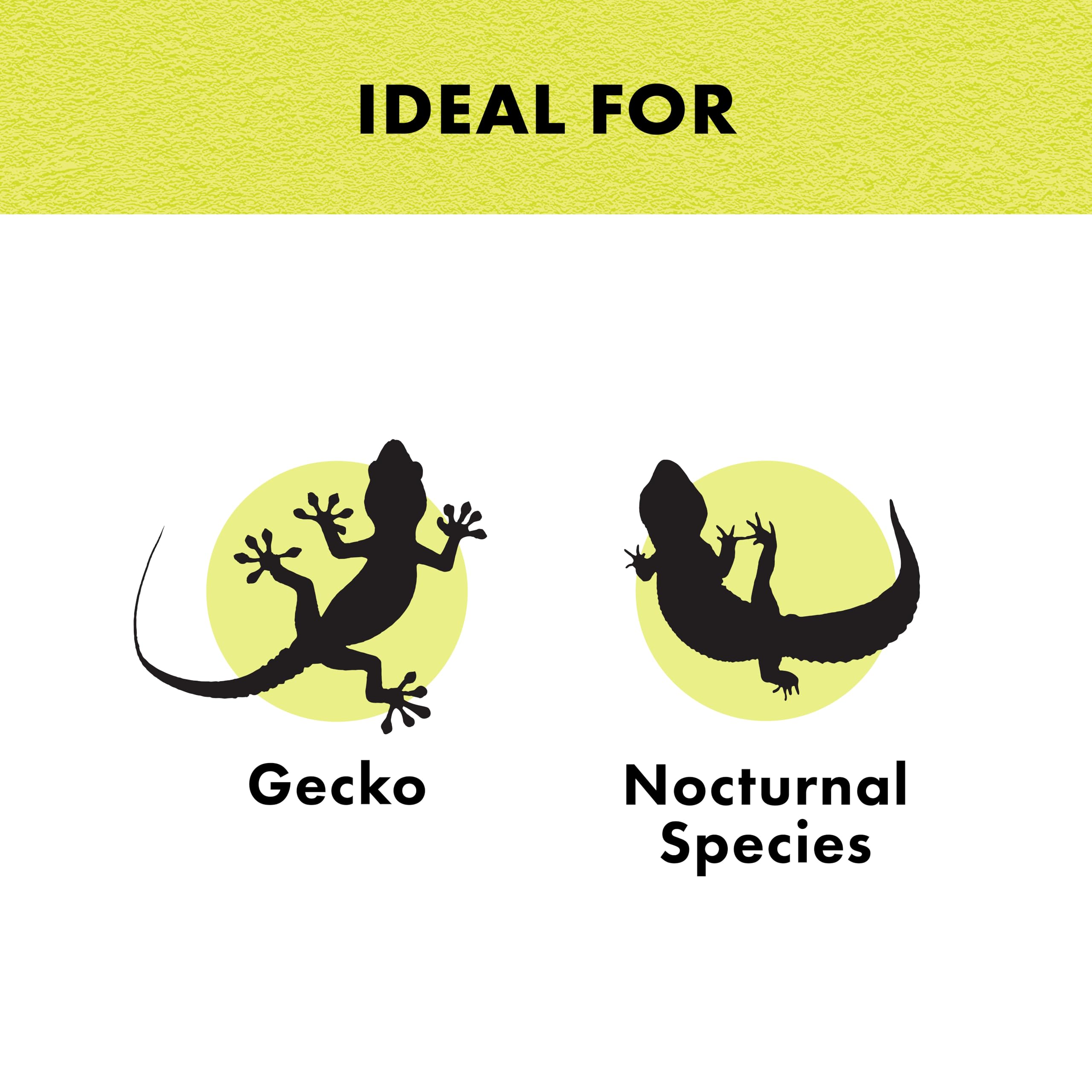 Zilla incandescent day-white natural-light setup supports diurnal reptiles with bright daylight.