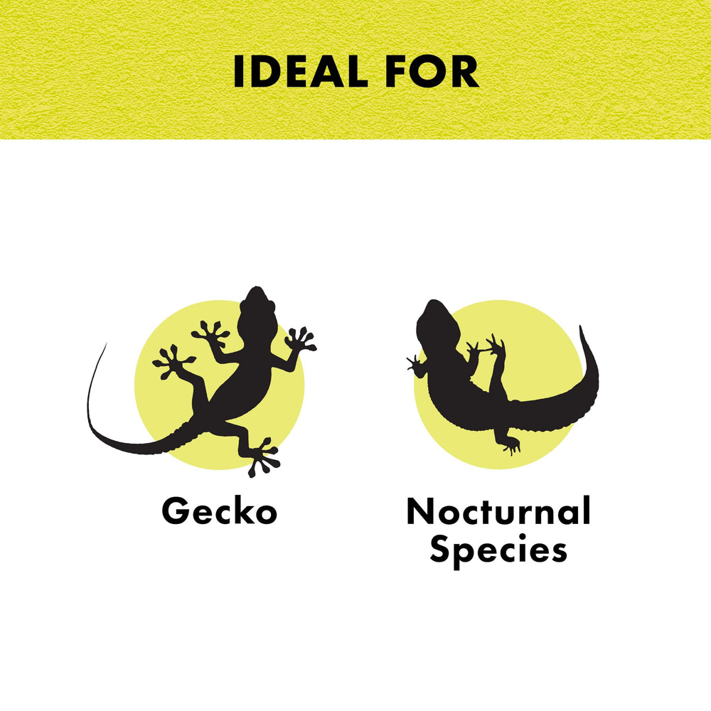 Zilla incandescent day-white natural-light setup supports diurnal reptiles with bright daylight.