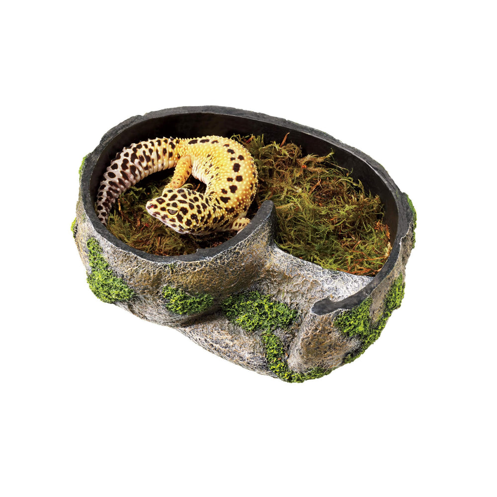 Zilla rock lair mossy texture provides camouflage and shedding comfort.