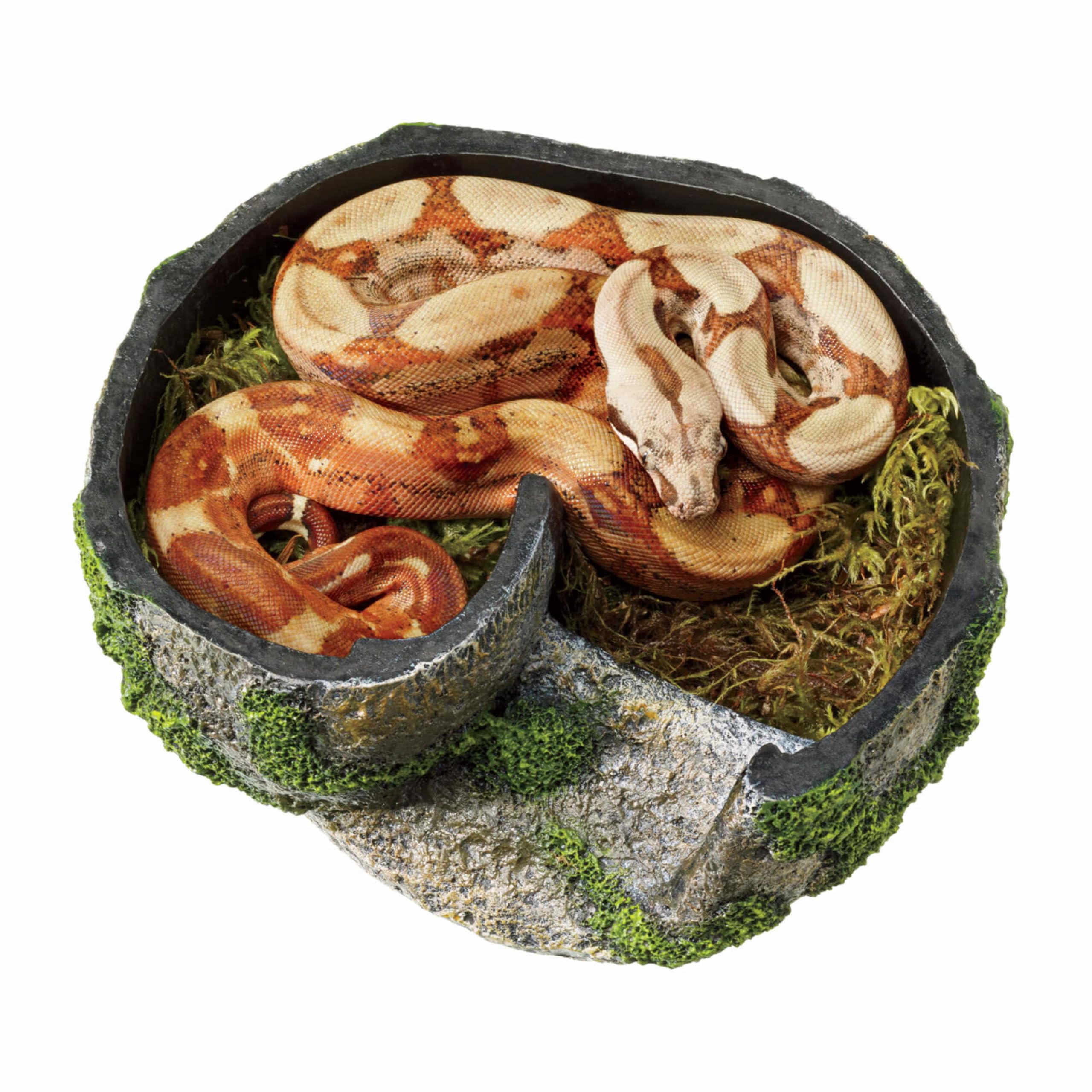 Zilla Pet Terrarium Rock Lair side-entry view enabling easy access and better airflow