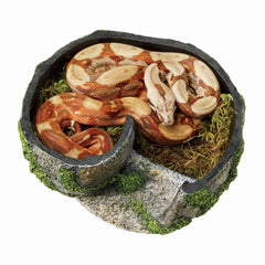 Zilla Pet Terrarium Rock Lair side-entry view enabling easy access and better airflow