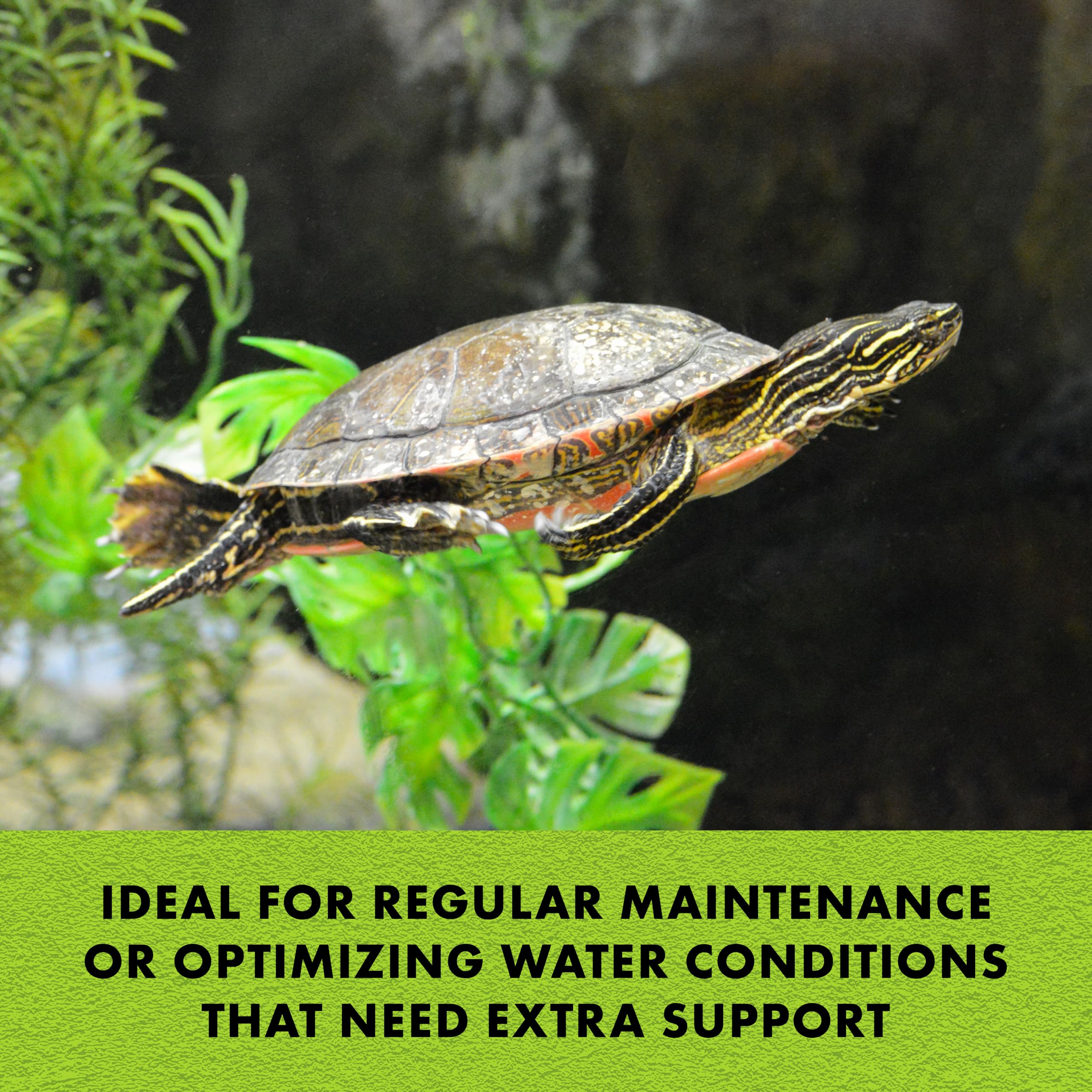Zilla Turtle Miracle Ball gel form safe for up to 50 gallons