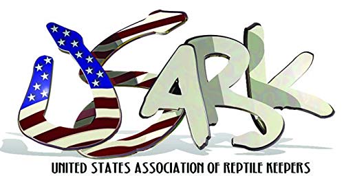 Zilla terrarium decor elevates basking platform for reptile warmth.