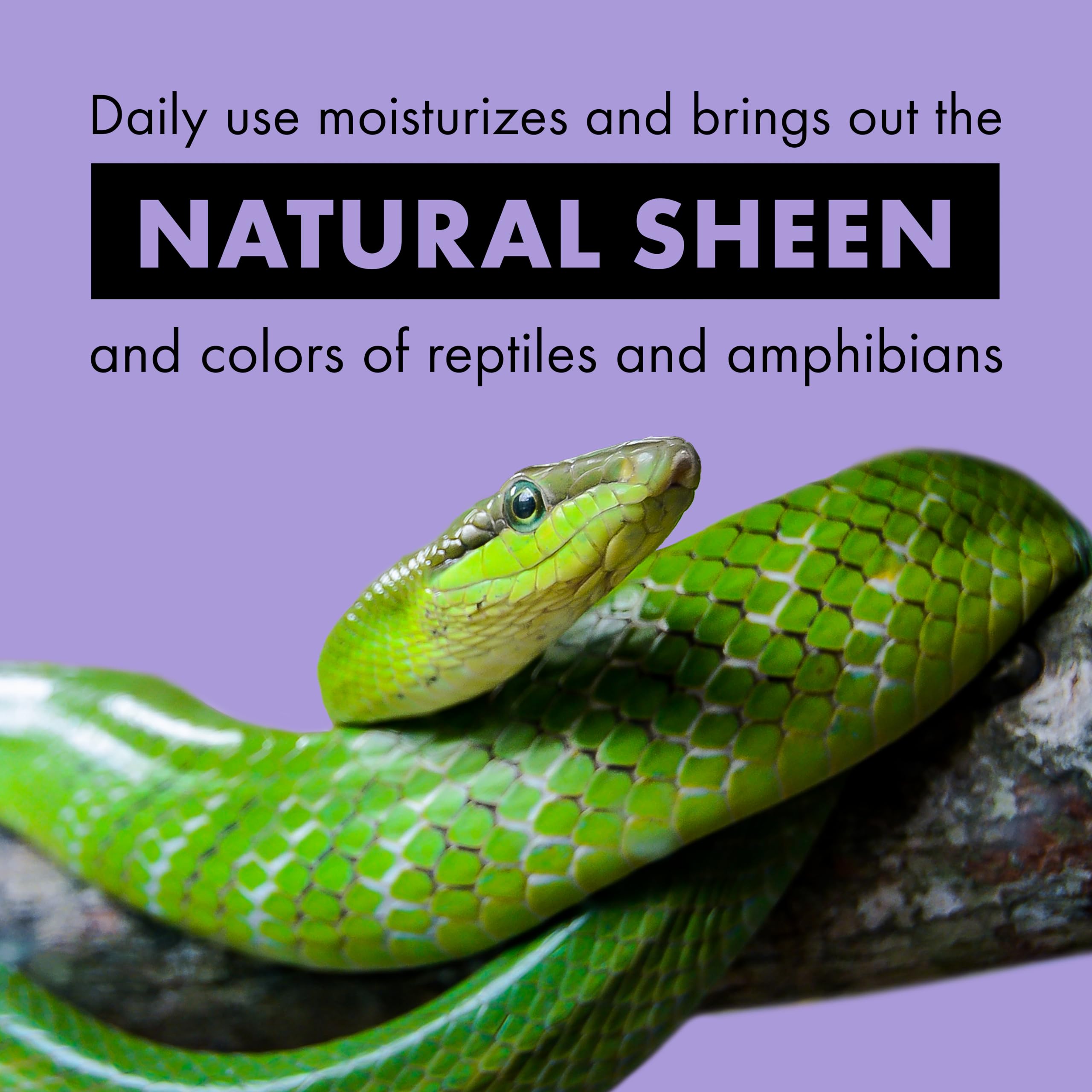 Zilla Tropical Mist aloe vera conditioners shown alongside leaves for skin conditioning.