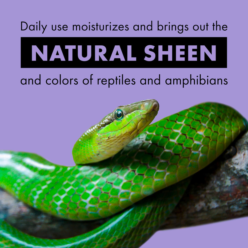 Zilla Tropical Mist aloe vera conditioners shown alongside leaves for skin conditioning.