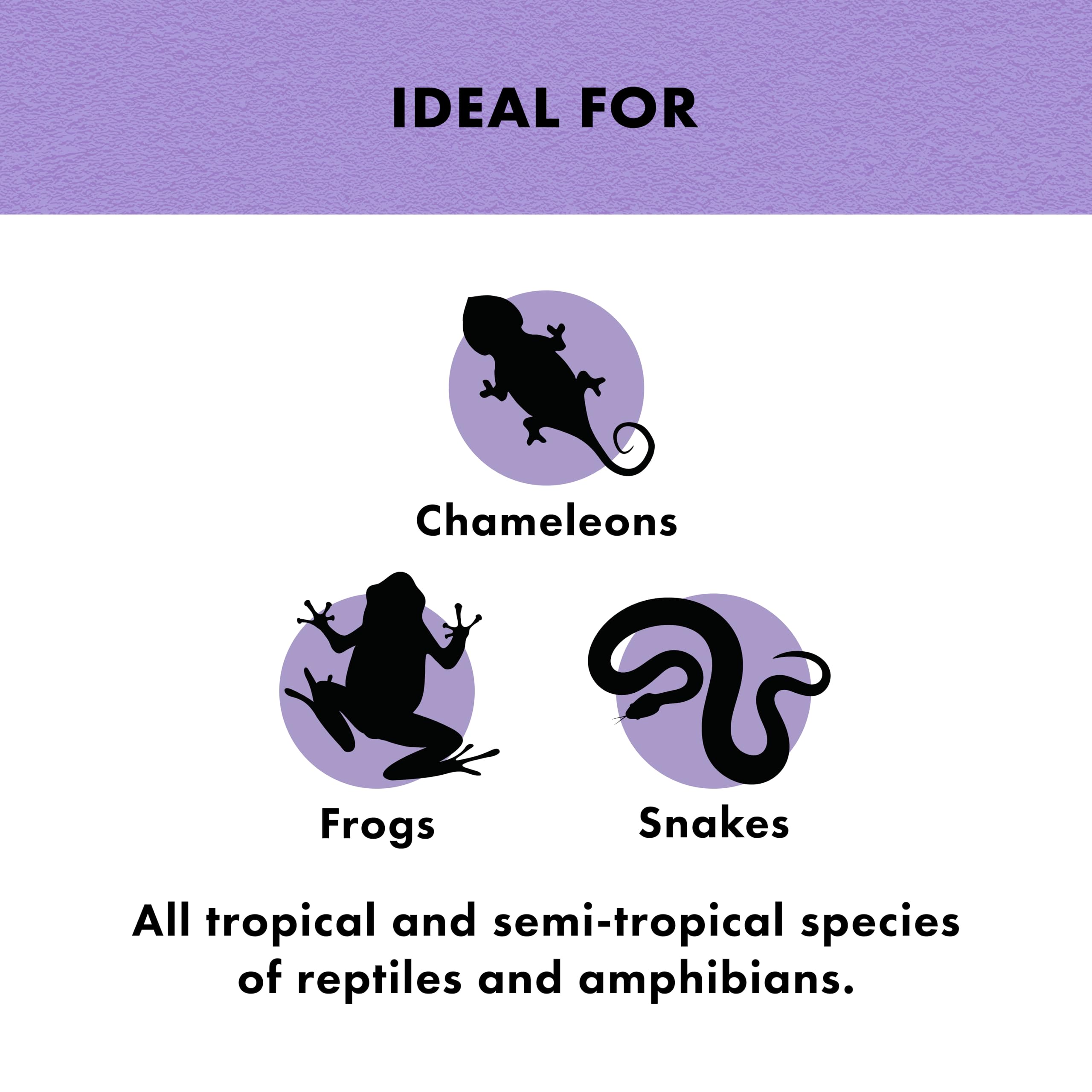 Zilla Tropical Mist on reptile's skin emphasizes natural sheen and color vibrancy.