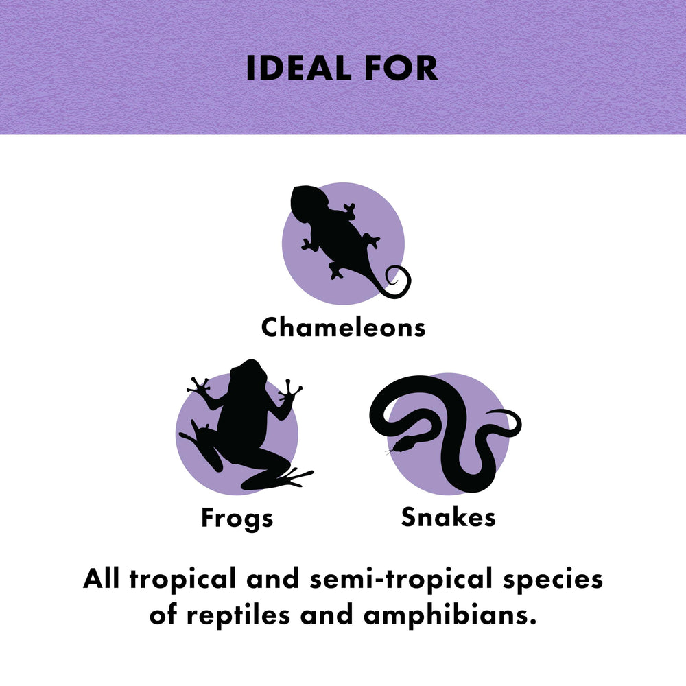 Zilla Tropical Mist on reptile's skin emphasizes natural sheen and color vibrancy.