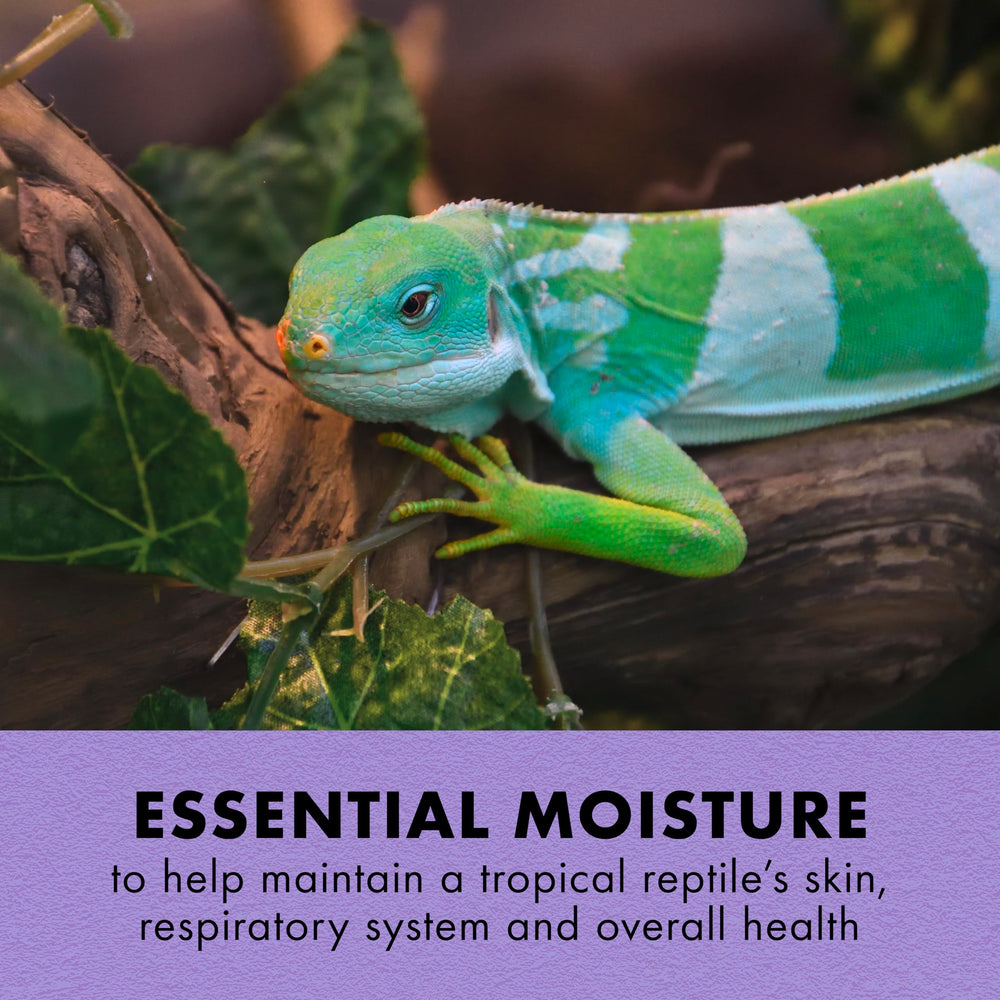 Zilla Tropical Mist spray on reptile demonstrates quick humidity boost for tropical habitats.