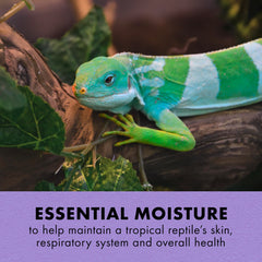 Zilla Tropical Mist spray on reptile demonstrates quick humidity boost for tropical habitats.