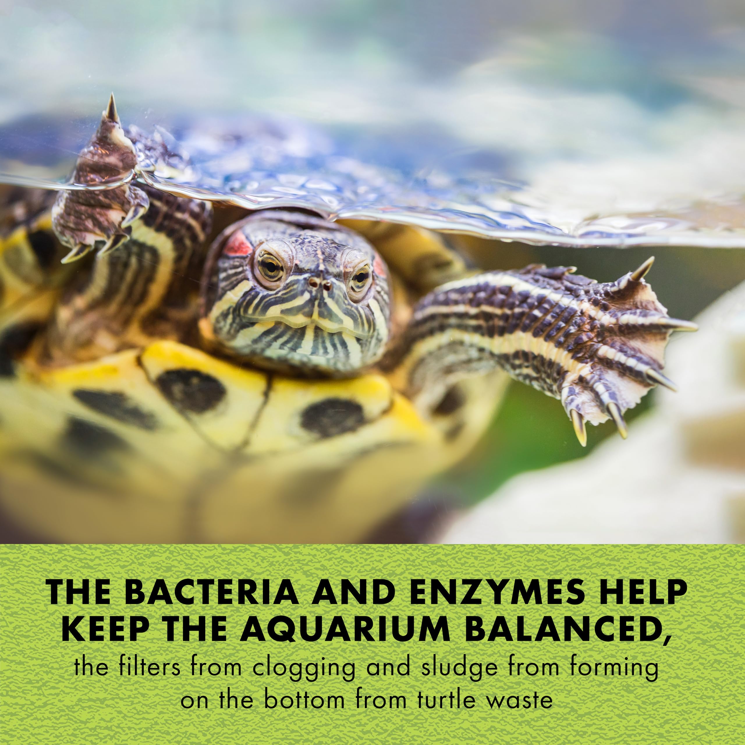 Zilla Turtle PURE live bacteria promotes clearer water and balance.