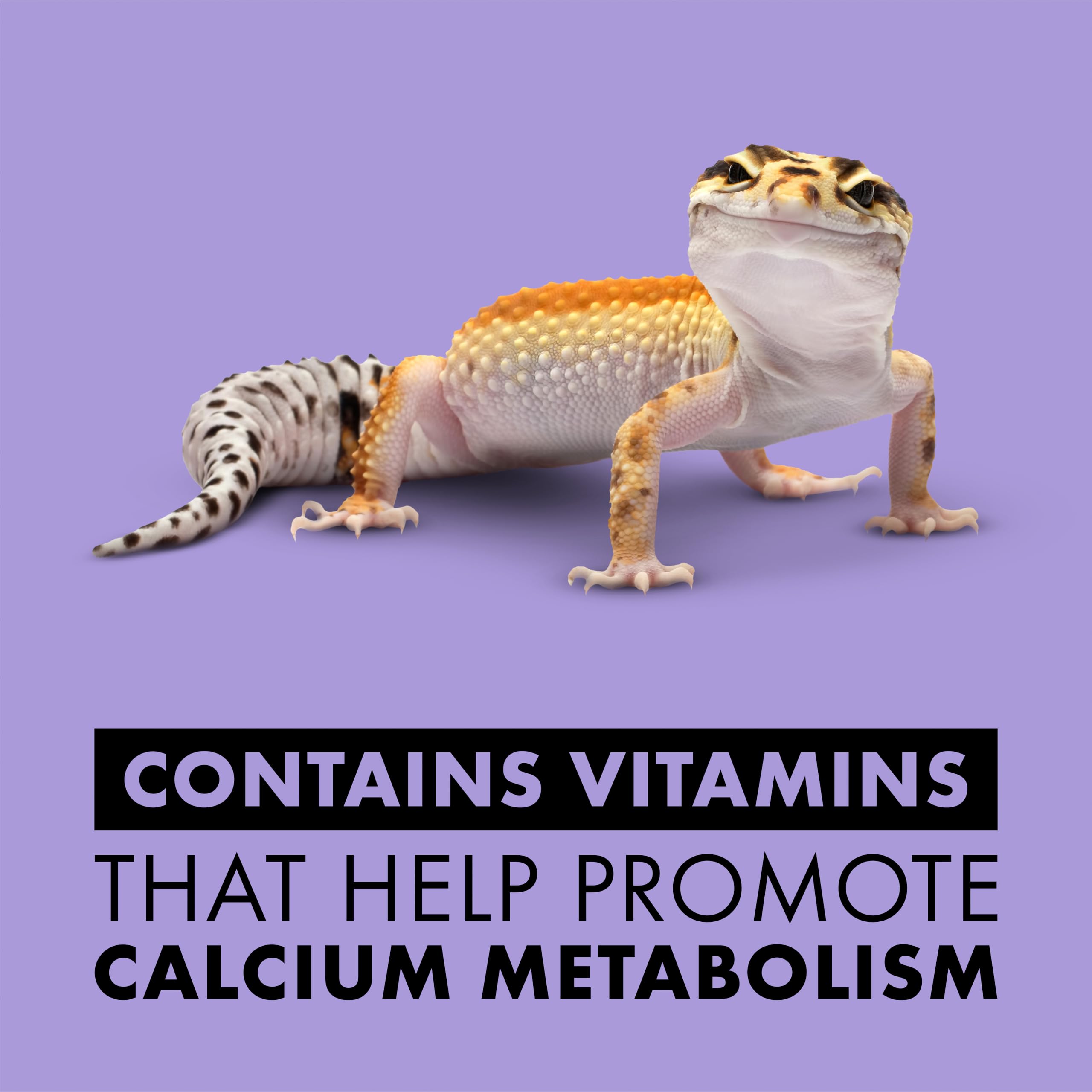 Zilla vitamin supplement onto reptile food during feeding time.