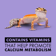 Zilla vitamin supplement onto reptile food during feeding time.