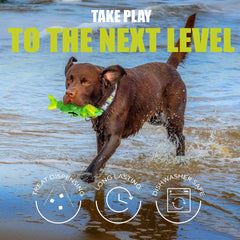 Zimoric Tough Dog Chew Toy treat-dispensing enrichment keeps dogs mentally engaged