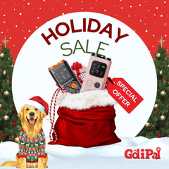 Zippy Goose Golipal dual ultrasonic modes display demonstrates adjustable training frequencies for tailored results.