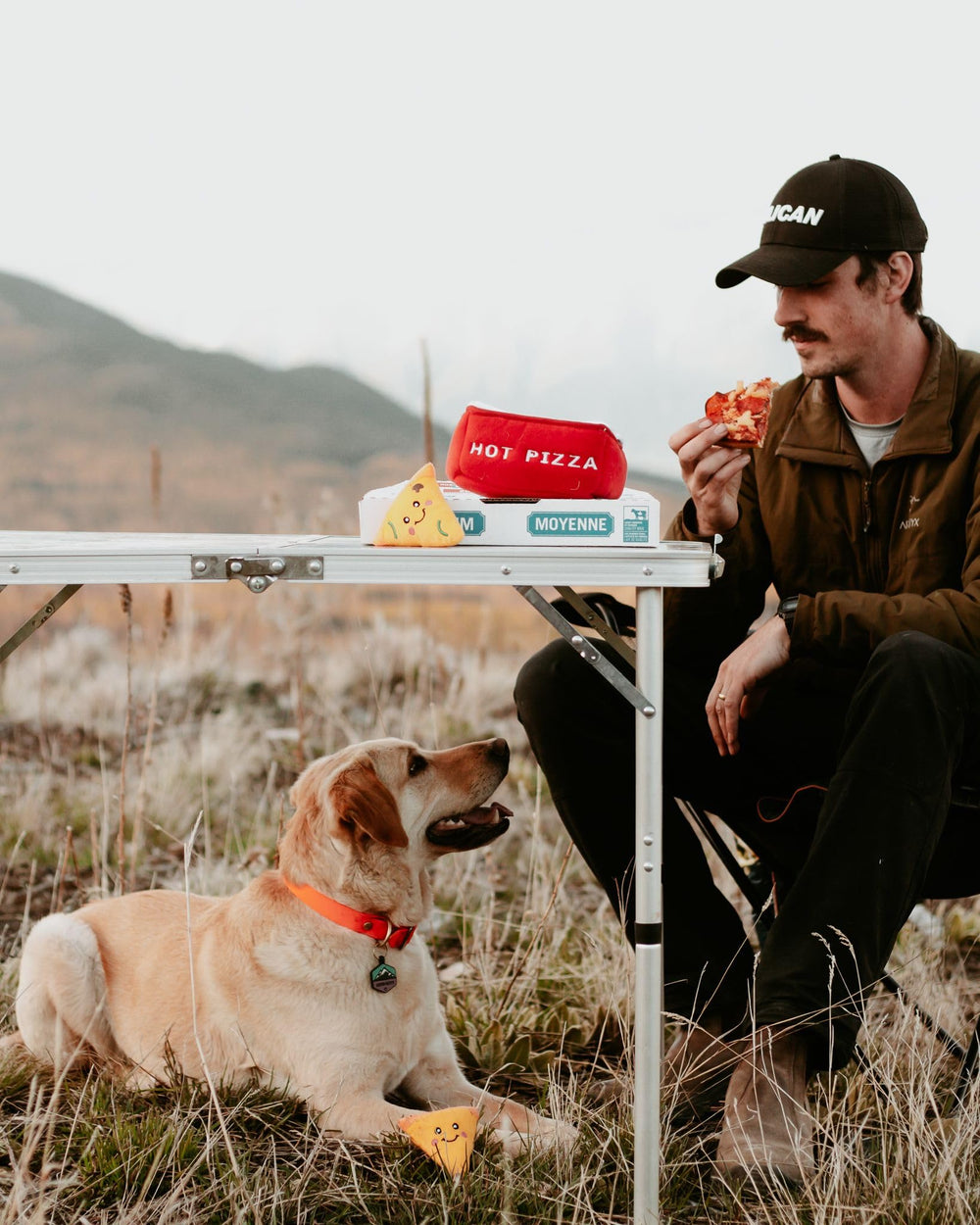 ZippyPaws Burrow Pizza Box packaging close-up conveys brand and details.
