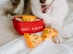 ZippyPaws Burrow Pizza Box front view highlights soft fabric for comfy play.