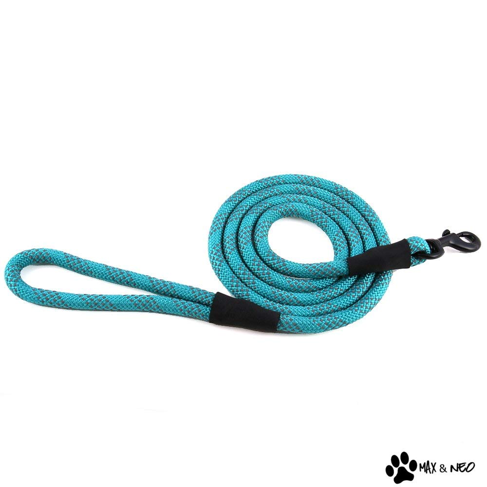 ZippyPaws Climbers Rope Leash large-dog scene with ample movement