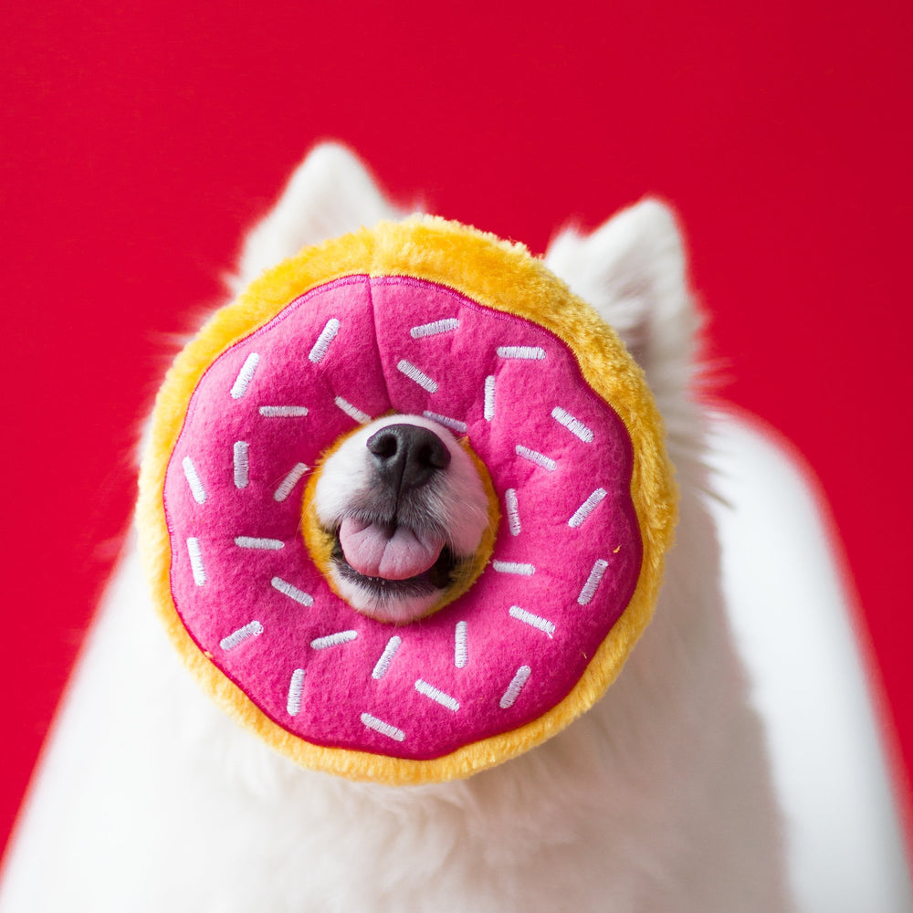ZippyPaws Donutz lightweight plush is easy to toss, fetch, and carry.