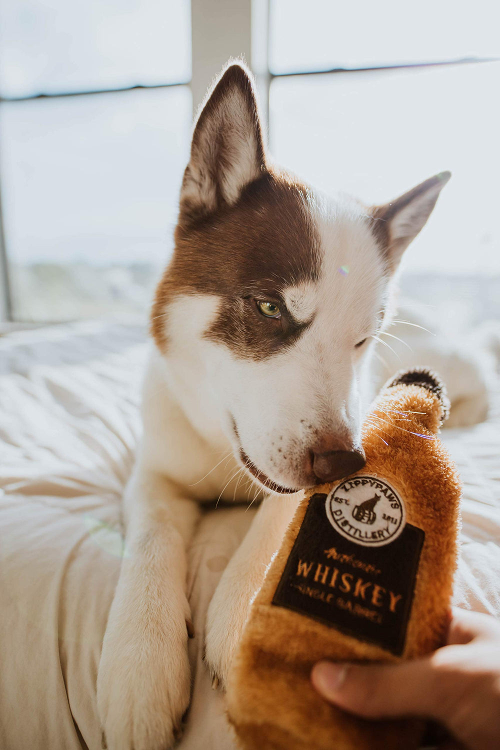 ZippyPaws Happy Hour Crusherz all ages dog toy is suitable for puppies and seniors alike.