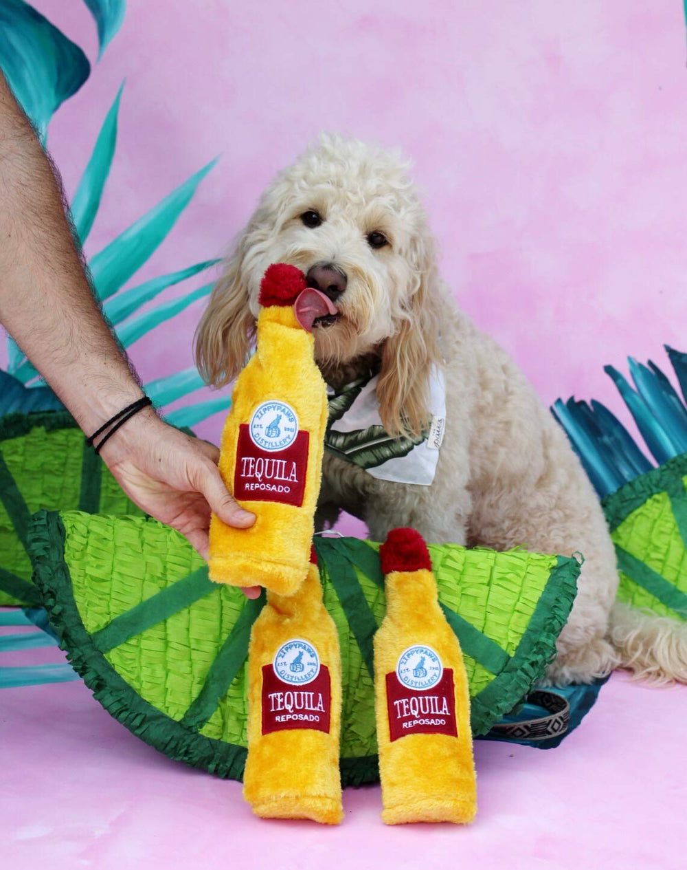 ZippyPaws Crusherz crunchy water bottle provides satisfying crinkle sounds