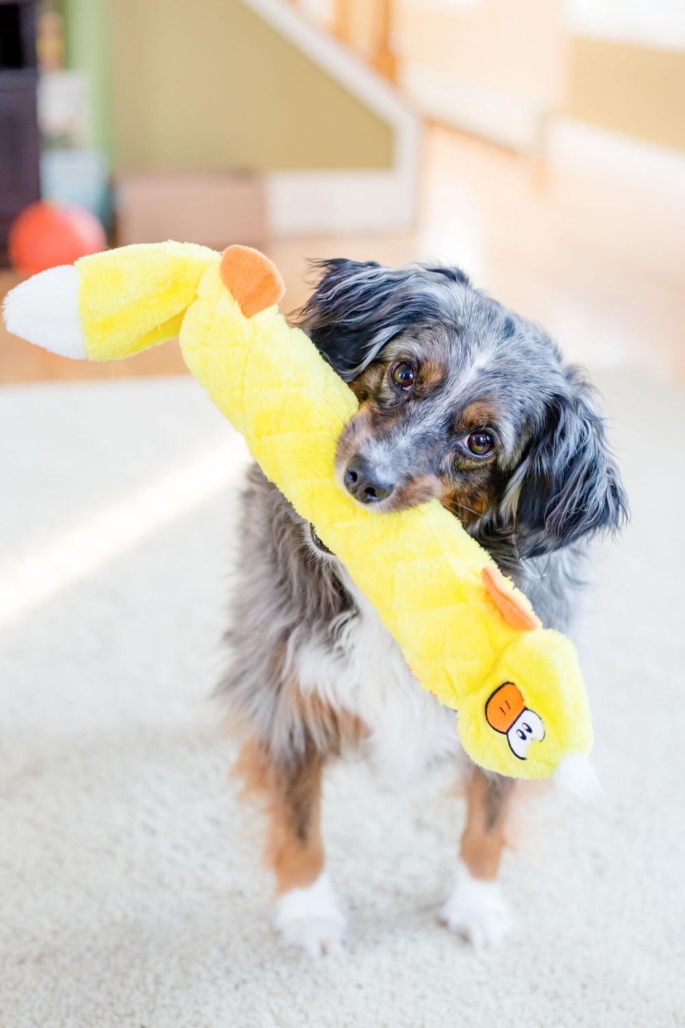 ZippyPaws Jigglerz Duck dog playing – keeps dogs engaged during fetch and chew