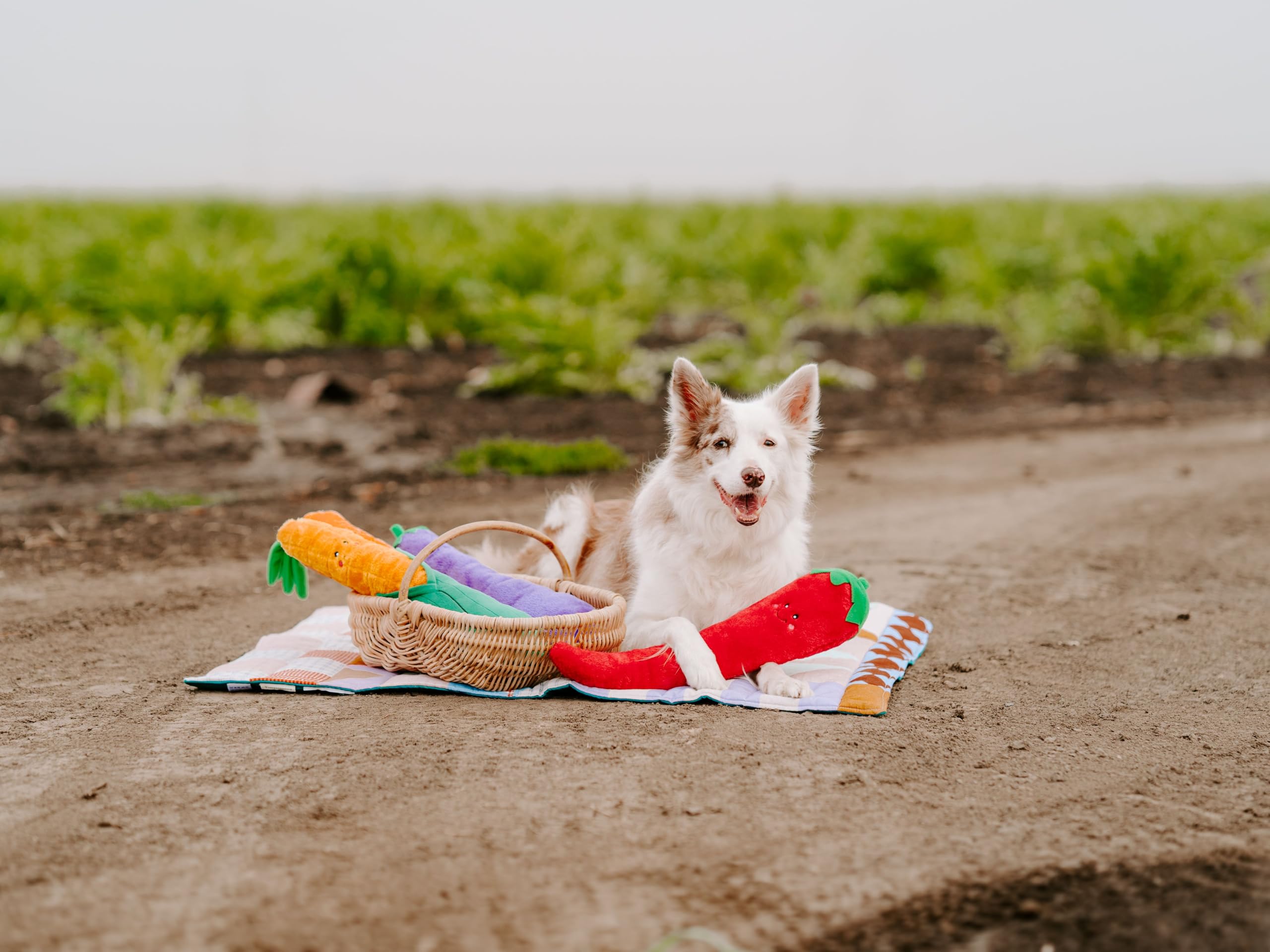 ZippyPaws Jigglerz Eggplant plush showing durable multi-layer fabric and stitching.