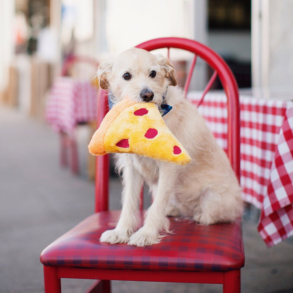 NomNomz pizza toy stuffed-body image emphasizes durable, chew-friendly design