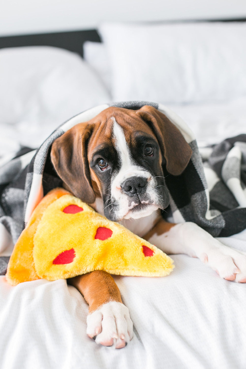 ZippyPaws NomNomz pizza toy with two squeakers promotes interactive squeak-filled play