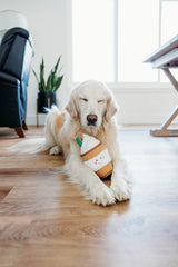 ZippyPaws NomNomz Puppuccino dual squeakers illustrate lively sounds for engagement.