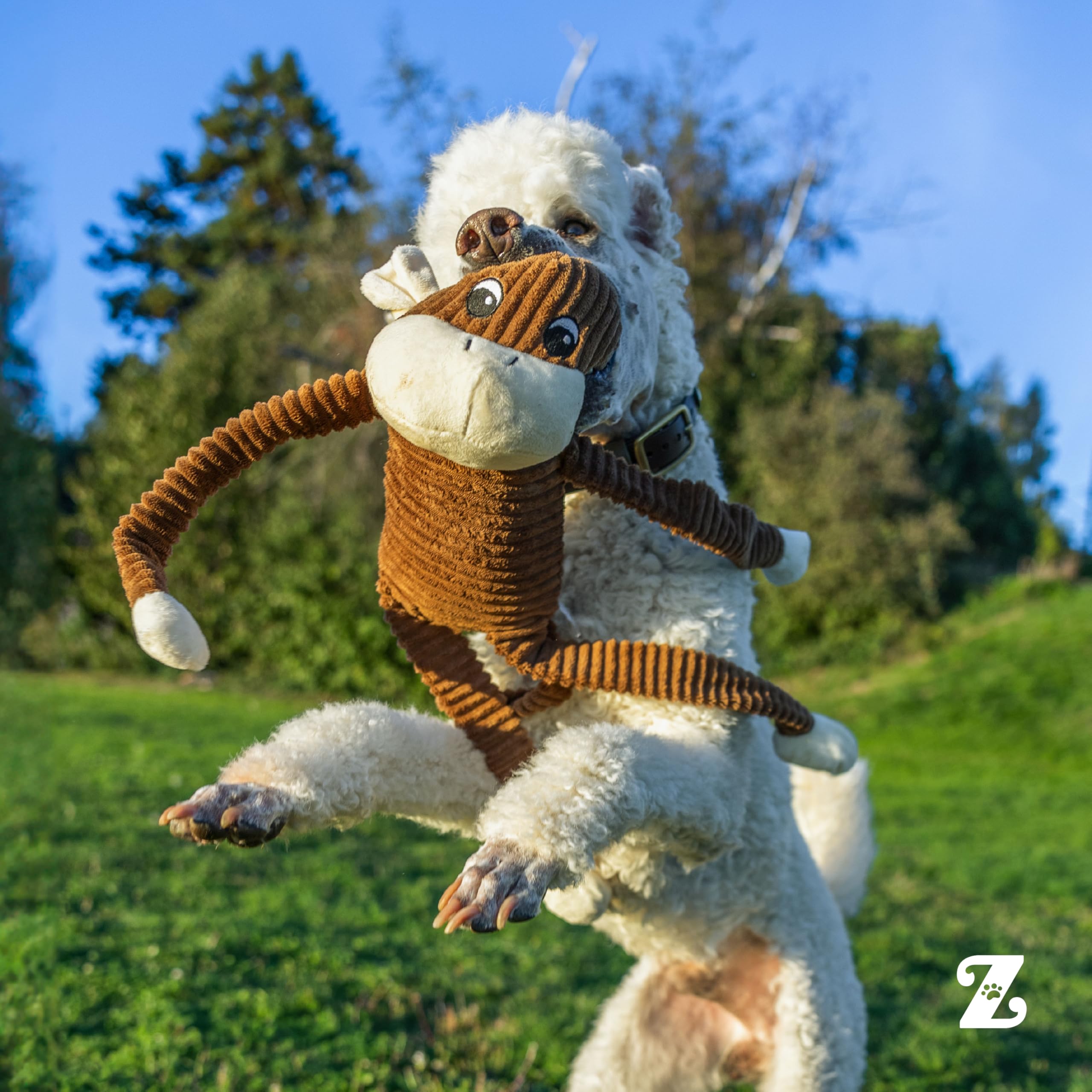 ZippyPaws Spencer soft stuffing provides cuddly comfort and safe chewing.