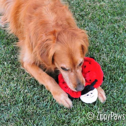 ZippyPaws Squeakie Crawler soft plush fabric – gentle chew for puppies and seniors