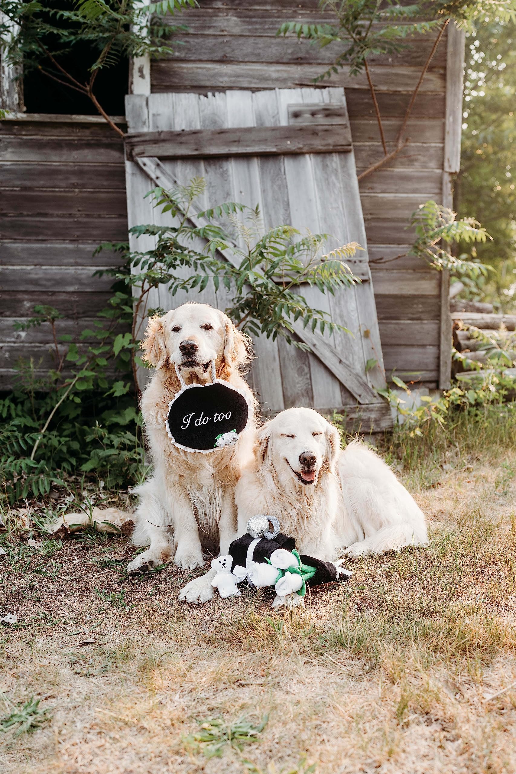 ZippyPaws wedding toy suitable for small, medium, and large dogs