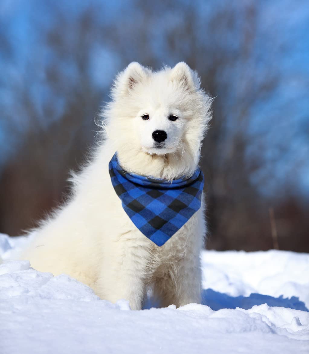 ZIRVYIR Birthday Plaid Dog Bandana adjustable sizes cover small to extra-large pets.