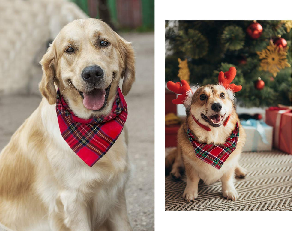 ZIRVYIR Birthday Plaid Dog Bandana vibrant colors enhance festive pet photos.