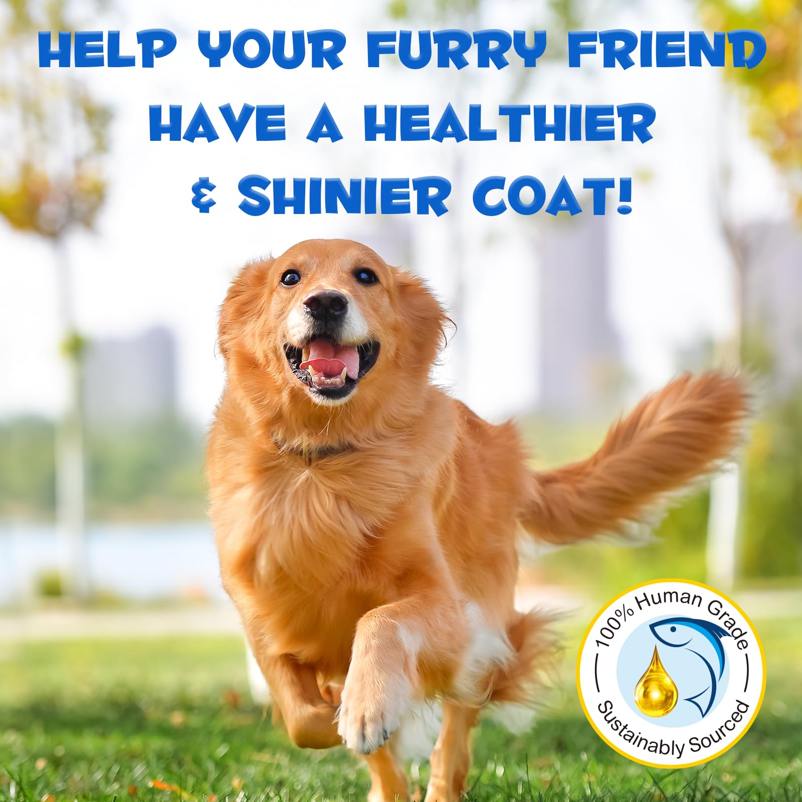 ZIXAOK bottle with spoon for easy daily dosing on a wood surface