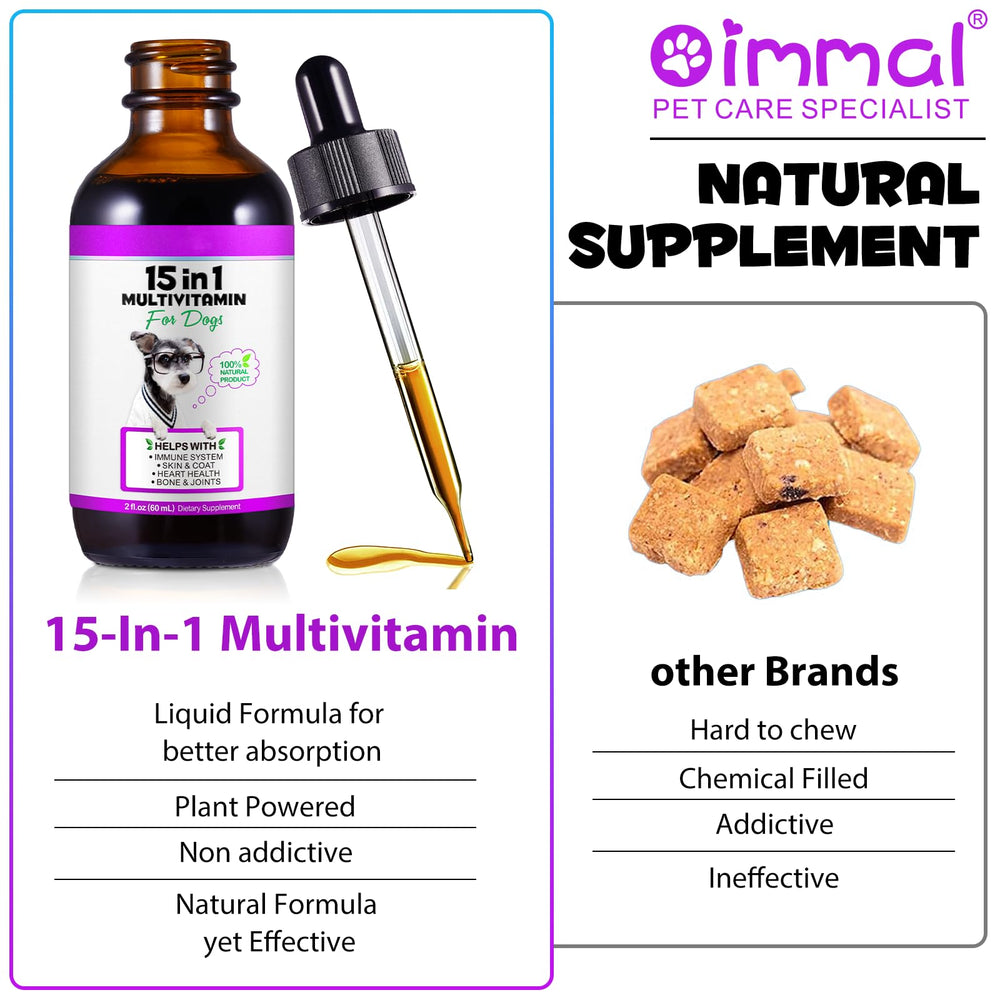 ZIXAOK dog joint mobility support in action.