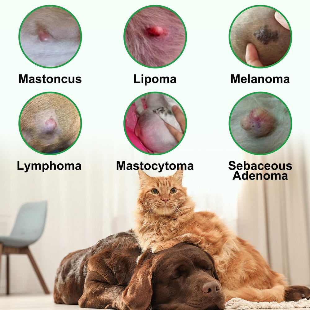 ZIXBMHYJ natural ingredients label shows castor oil flaxseed vitamin E