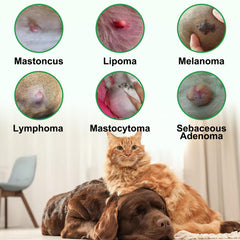 ZIXBMHYJ natural ingredients label shows castor oil flaxseed vitamin E