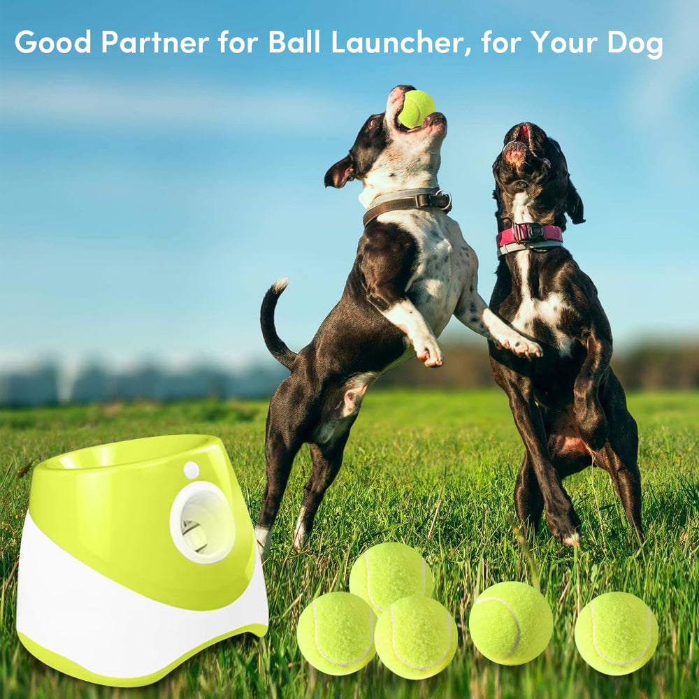 ZIYIZE mini tennis balls 2-inch dog close-up highlighting durable rubber and felt for safe play.
