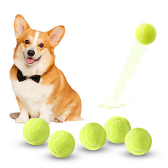 ZIYIZE mini tennis balls 6-pack box showing value and packaging for home play.