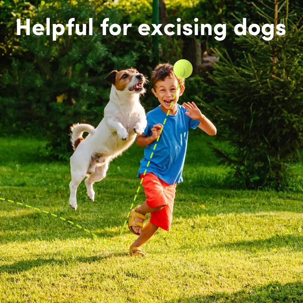 ZIYIZE mini tennis balls with ball launcher compatibility for easy throwing