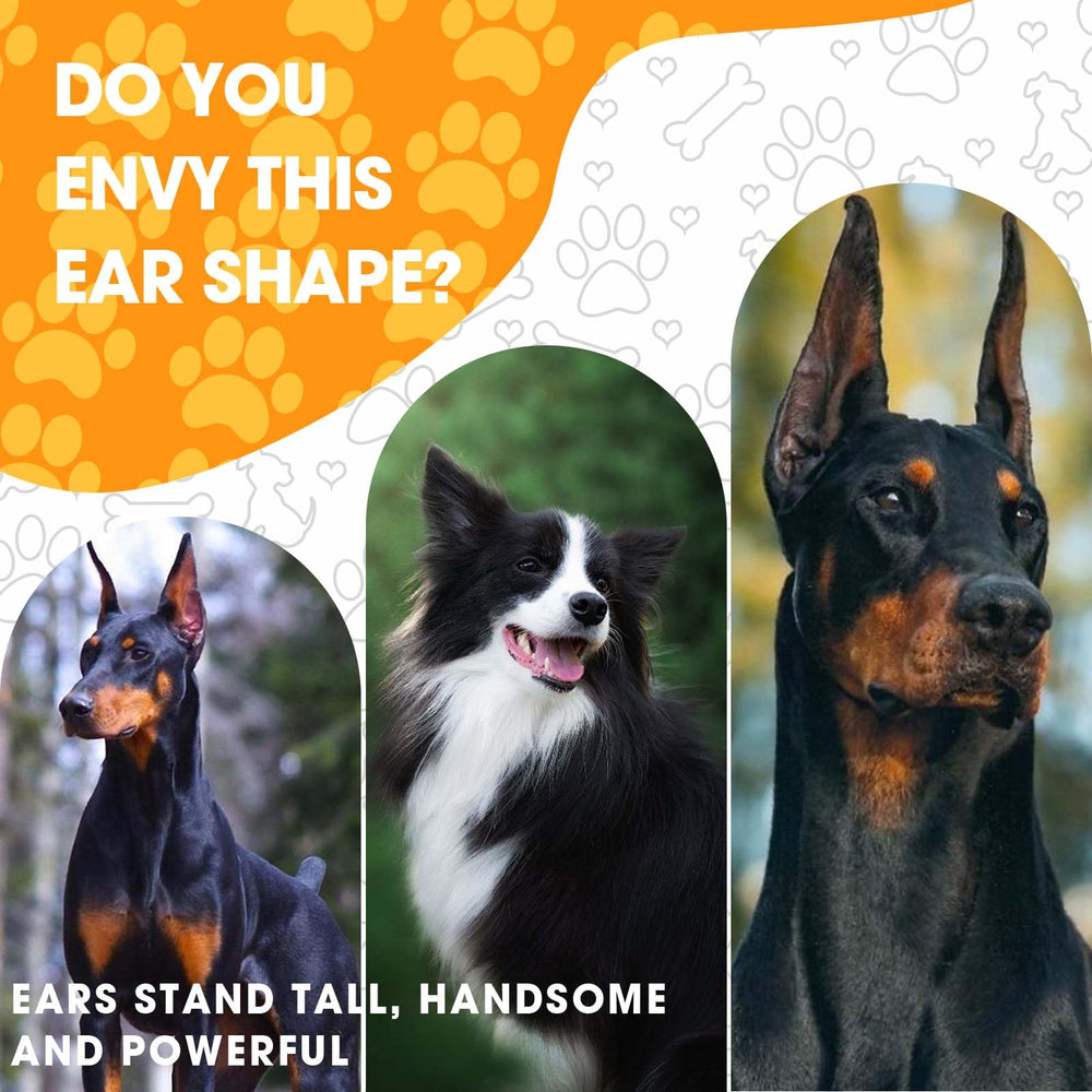 Ziyue doberman ear-posting kit complete-set image emphasizes four sets and extra tapes