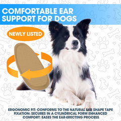 Ziyue doberman ear-posting kit closeup highlights soft materials for gentle wear