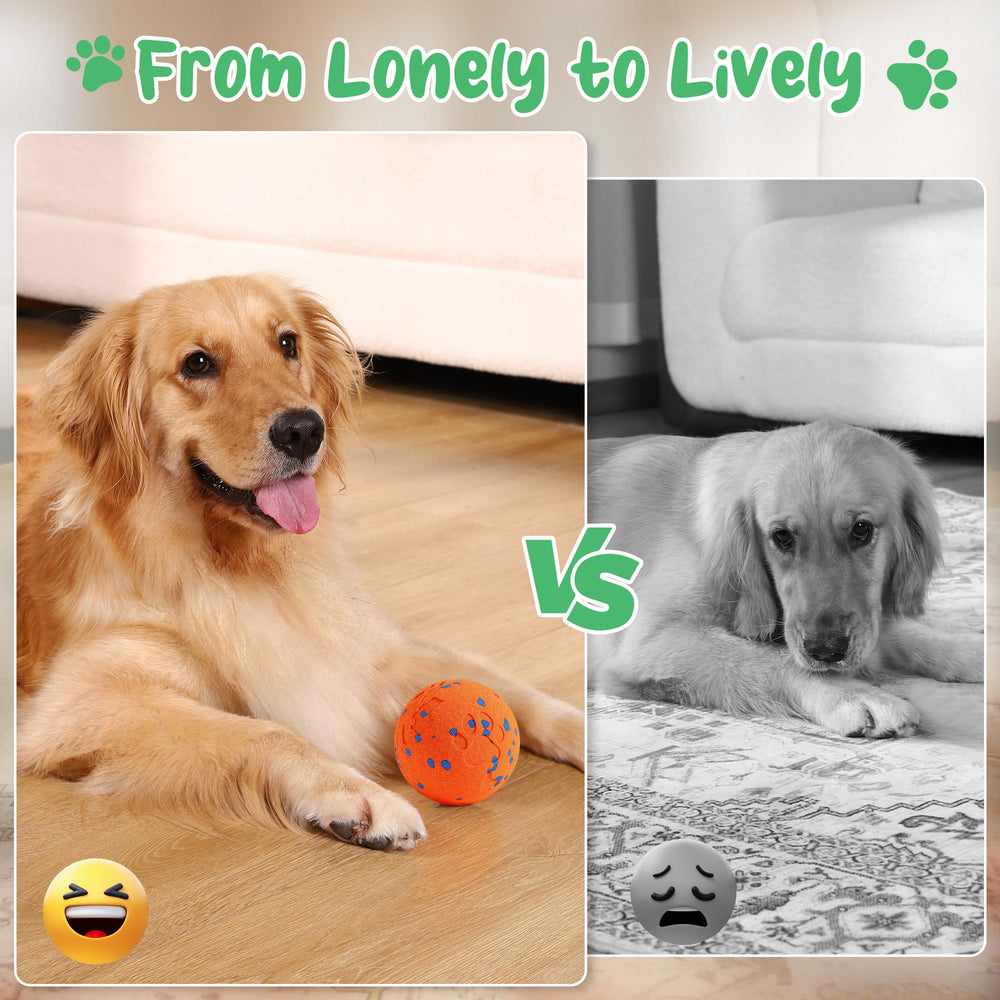 Zizimoko dog toy ball in vibrating action for indoor and outdoor fun